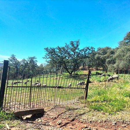 Casa Rural Alicia كورتيغانا المظهر الخارجي الصورة