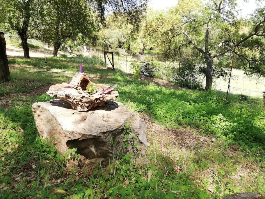 Casa Rural Alicia كورتيغانا المظهر الخارجي الصورة