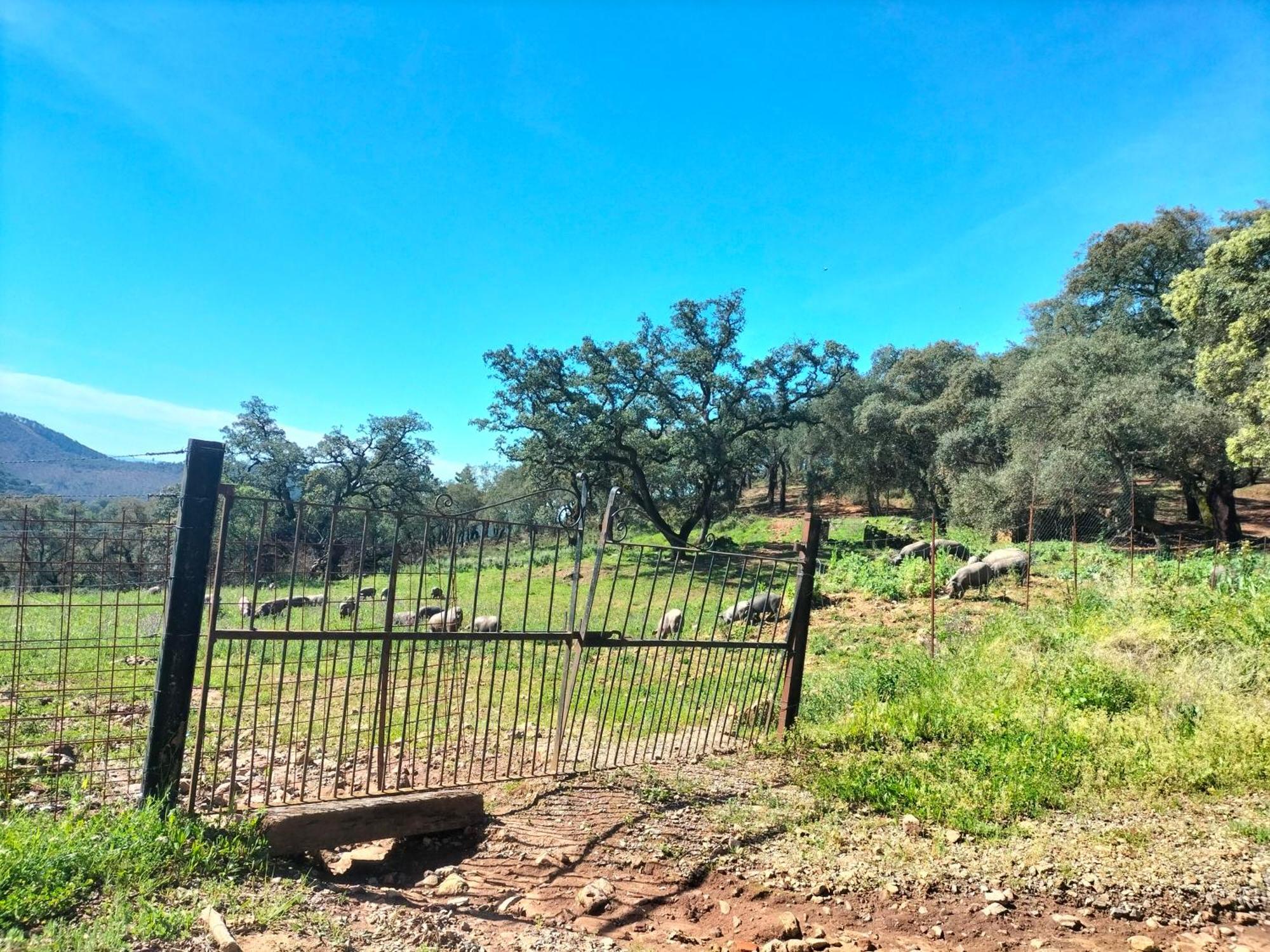 Casa Rural Alicia كورتيغانا المظهر الخارجي الصورة